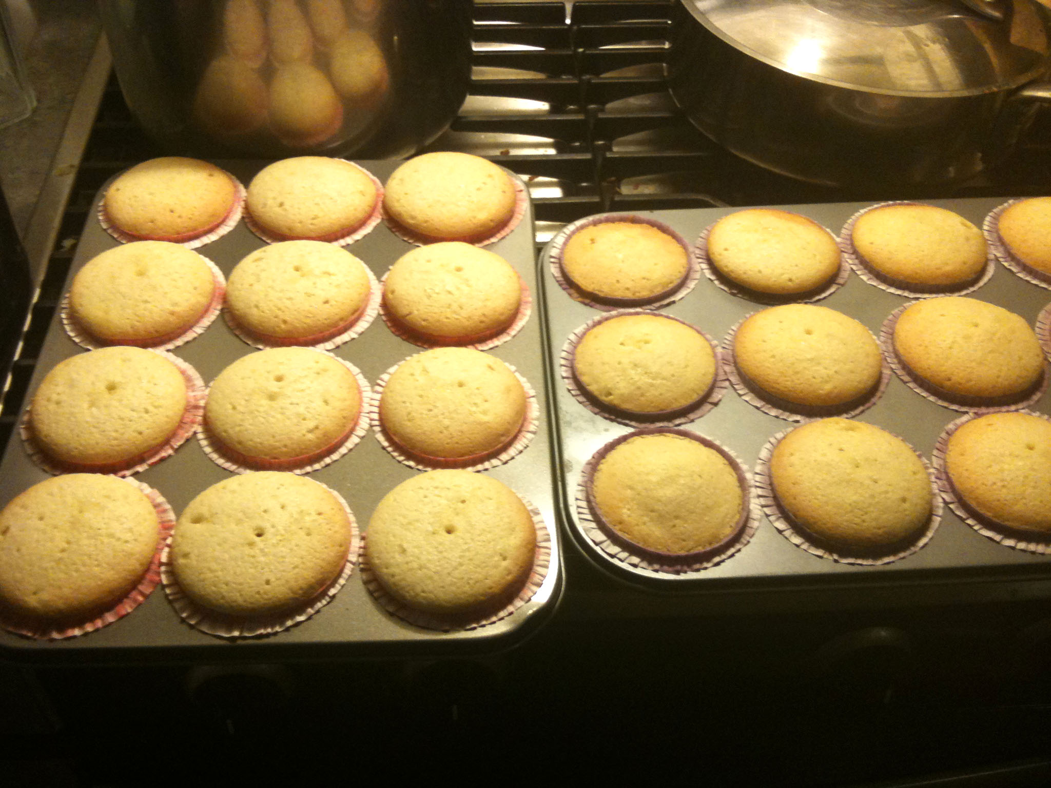 Cupcakes Fresh from the Oven